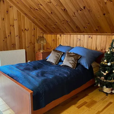 Holiday home Beskidium - Uroczy Dom Brenna