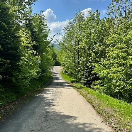 Beskidium - Uroczy Dom Holiday home *