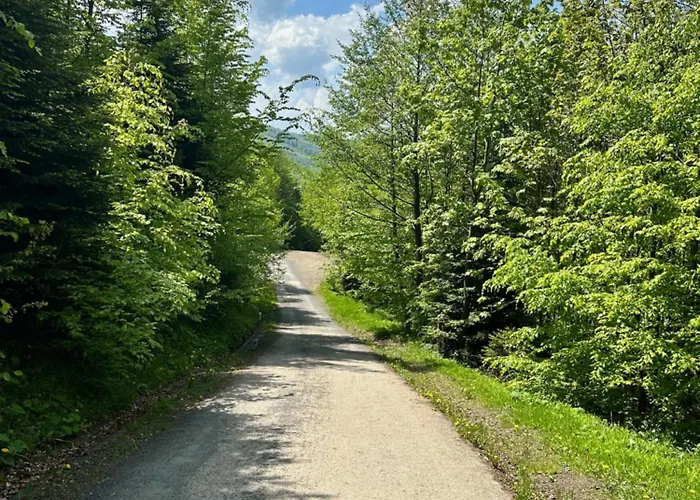 Beskidium - Uroczy Dom Holiday home *